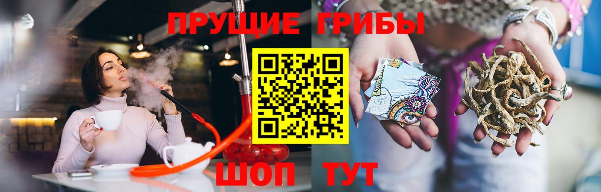 Малоярославец  дарнет шоп  Вход с VPN  Галлюциногенные грибы Cubensis 